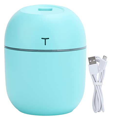 Mini Tragbarer USB -Luftbefeuchter ätherischer Öldiffusor mit LED -Nachtlicht für Home Office (Grün) von YULEESIYIP