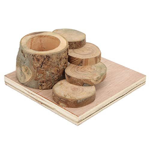 YULEESIYIP Hamster Holzschale und Leiter stabil und sicherer Lebensmittelfutter für kleine Haustiere Applewood Hamster Kletterplattform von YULEESIYIP