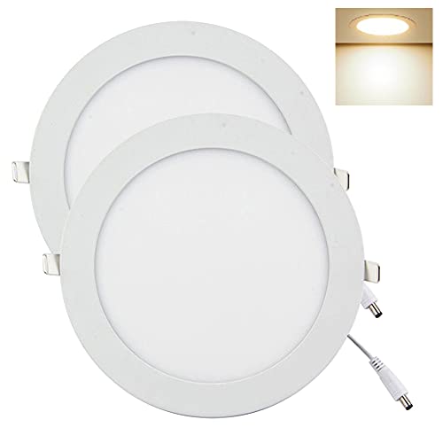 YULIN SUN® LED Downlight, 12W 1080lm x 2er Pack Runde Deckeneinbauleuchte, LED Einbaustrahler Warmweiß 3000K,Ø 9mm x 170mm,Inklusive Treiber von YULIN SUN