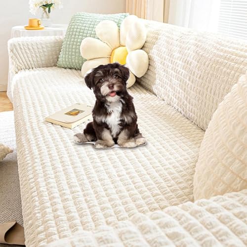 Upgraded Couch Covers - Sofabezug aus 3D-Popcorn-Stoff, Stretch-Sofabezug for 3-Kissen-Couch, eleganter Couchbezug for 1–5-Sitzer, kratzfest, universeller Couch-Schonbezug, Loveseat-Bezug(Cream,5 seat Upgraded Couch Covers - Sofabezug aus 3D-Popcorn-Stoff, Stretch-Sofabezug for 3-Kissen-Couch, eleganter Couchbezug for 1–5-Sitzer, kratzfest, universeller Couch-Schonbezug, Loveseat-Bezug(Cream,5 seat von YUMEIGE