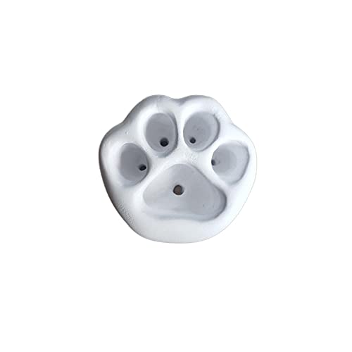 Blumentopf Sukkulenten Töpfe Pflanze Kakteen Topf Übertöpfe Multicolor Schöne Katze Pfote Blume Topf Mini Sukkulenten Container Home Garten Ornamente Kreative Pflanzer Micro Landschaft Bonsai-Weiß von YUNHOME