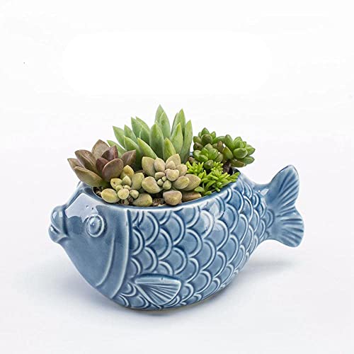 YUNHOME Blumentopf Sukkulenten Töpfe Pflanze Kakteen Topf Übertöpfe Blue Sea Series Flehyy European Style Blumentopf Vase Keramik Fischform Bonsai Sukkulenten Pflanztöpfe Desktop Pflanzer-Fisch von YUNHOME