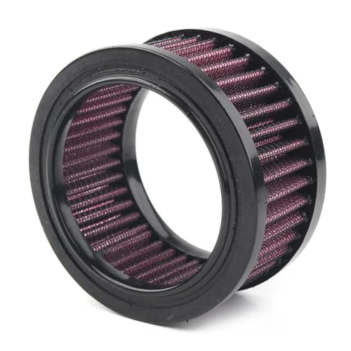 YUNJMYL Motorrad Luftfilter Filterelement Ersatz Für H&Arley Für D&avidson Sportster XL 883 1200 X48 Forty Eight XL1200 XL883 1991-2017 YUNJMYL Motorrad Luftfilter Filterelement Ersatz Für H&Arley Für D&avidson Sportster XL 883 1200 X48 Forty Eight XL1200 XL883 1991-2017 von YUNJMYL