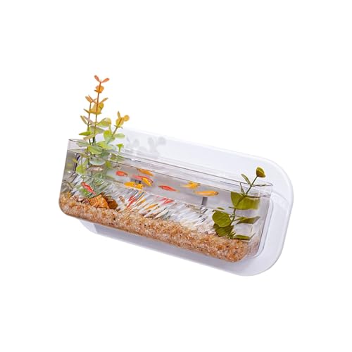 YUNNIAN Raumsparende Wandaquarien Und Hydroponische Pflanzer Wandpflanzentöpfe Für Innen Und Haustierfische Hängen Hydroponischer Topf von YUNNIAN