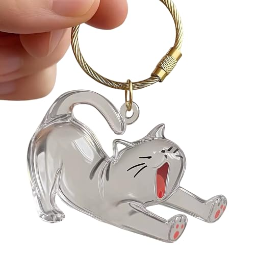 YUNNIAN Clear Acrylhaar Haarschlüsselkettensammler Cartoon Katzen Aufbewahrungsbox Für Reisefreundliche Andenken Und Geschenke Katzen CATSSAKS Container Container von YUNNIAN