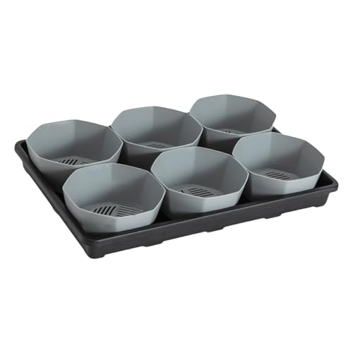 YUNNIAN Professional Thickened Nursery Pots Trays 6 Cell Design with 6Inch Pots Sink Tray for Home and Office Plant Use YUNNIAN Professional Thickened Nursery Pots Trays 6 Cell Design with 6Inch Pots Sink Tray for Home and Office Plant Use von YUNNIAN