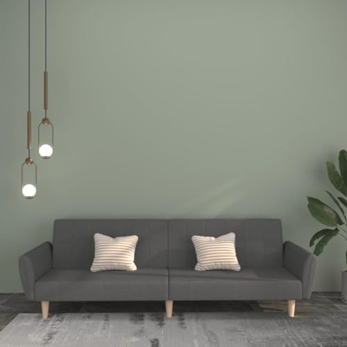 Schlafsofa 2-Sitzer Hellgrau Stoff Sofabett Gästebett Wohnzimmer Schlafcouch mit 2-in-1 Funktion. Einfach Zusammenbau. Bequem Sitzgelegenheit. Perfekt für Kleine Wohnungen und Gästezimmer von YUOTYRKTEJRSG
