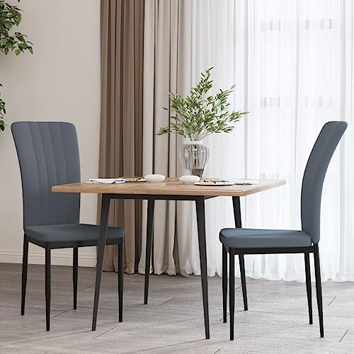 YUOTYRKTEJRSG Esszimmerstühle 2 STK Dunkelgrau Samt Velvet Dining Chairs with Iron Frame, Modern Kitchen Set of 2, Comfortable Upholstered Side Chairs for Dining Room Kitchen Office von YUOTYRKTEJRSG