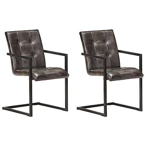 YUOTYRKTEJRSG Freischwinger Dining Chairs 2-Pack Gray Genuine Leather Retro Design Kitchen Dining Room Seating with Steel Frame Comfortable Ergonomic Armchairs von YUOTYRKTEJRSG