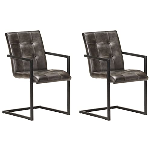 YUOTYRKTEJRSG Freischwinger Dining Chairs 2-Pack Gray Genuine Leather Retro Design Kitchen Dining Room Seating with Steel Frame Comfortable Ergonomic Armchairs von YUOTYRKTEJRSG