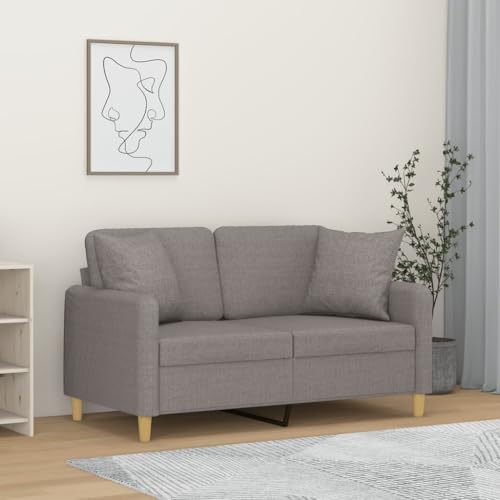 YUOTYRKTEJRSG Modern 2 Seater Sofa with Decorative Cushions Light Gray 120 cm Fabric Couch for Living Room Lounge Comfortable Seating Durable Frame von YUOTYRKTEJRSG
