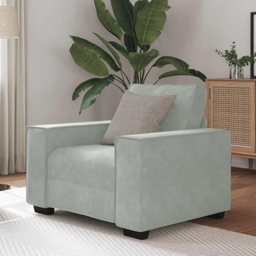 YUOTYRKTEJRSG Sessel Hellgrau 60 cm Samt Sofa Chair with Wide Armrests. Velvet Upholstery. Comfortable Lounge Chair for Living Room. Office. Guest Room. Reading Nook. Relaxation Space von YUOTYRKTEJRSG