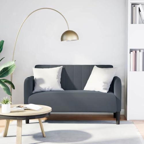 YUOTYRKTEJRSG Zweisitzer-Sofa Dunkelgrau 109 cm Samt Modernes Wohnzimmer Sofa mit Federkern und Samtbezug für Wohnzimmer und Büro. Bequemes Lesesofa mit Stabilem Sperrholzrahmen YUOTYRKTEJRSG Zweisitzer-Sofa Dunkelgrau 109 cm Samt Modernes Wohnzimmer Sofa mit Federkern und Samtbezug für Wohnzimmer und Büro. Bequemes Lesesofa mit Stabilem Sperrholzrahmen von YUOTYRKTEJRSG