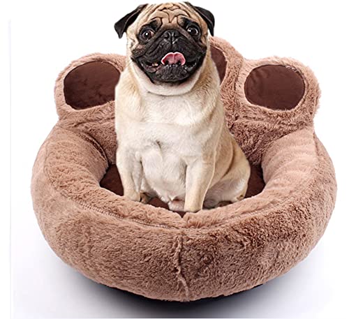 Gemütliches Hundesofa in Pfotenform, abnehmbares Katzenhüttenbett, kleines Hundekissen, Nisthöhle aus Kork, Hundematratze mit Nackenstütze, Bichon Frisé-Bett Gemütliches Hundesofa in Pfotenform, abnehmbares Katzenhüttenbett, kleines Hundekissen, Nisthöhle aus Kork, Hundematratze mit Nackenstütze, Bichon Frisé-Bett von YURRO