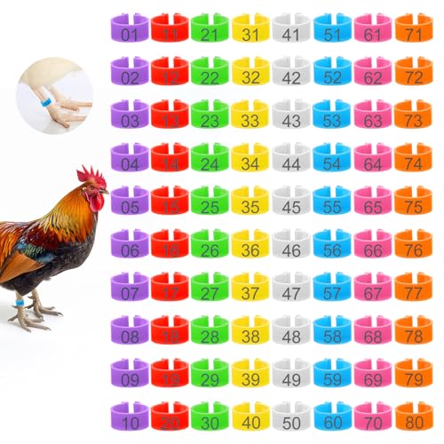YUXIANLB 80 Stück nummerierte Hühnerbeinbänder in 8 Farben für Enten Küken Hühner Tauben Gänse Kampfhühner wasserdichte Robuste Knöchelclips für Geflügelhaltung Vogelzucht Farmmanagement von YUXIANLB