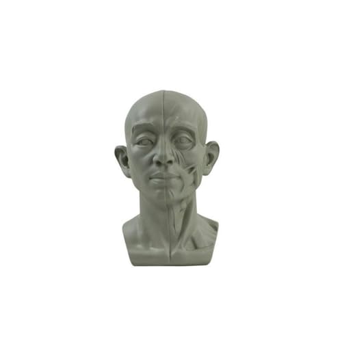 YUYQAQ Gips Portrait Lehrmittel Simulation Flacher Praktischer Kopf Gipswerkzeug Harz T4S5 Version Mini Skizze Lernen Portrait YUYQAQ Gips Portrait Lehrmittel Simulation Flacher Praktischer Kopf Gipswerkzeug Harz T4S5 Version Mini Skizze Lernen Portrait von YUYQAQ