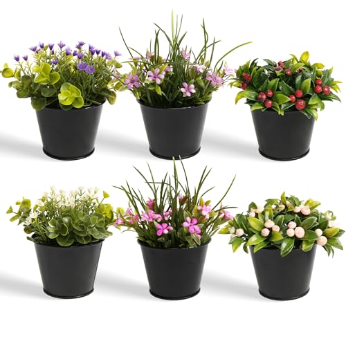 YVONNEYI Kunstpflanze Klein 6 Stück, Mini Kunstblumen im Topf, Künstliche Pflanzen für Schlafzimmer Badezimmer Wohnzimmer Küchen Office Zuhause Innen Deko - Stechpalme/Blumen YVONNEYI Kunstpflanze Klein 6 Stück, Mini Kunstblumen im Topf, Künstliche Pflanzen für Schlafzimmer Badezimmer Wohnzimmer Küchen Office Zuhause Innen Deko - Stechpalme/Blumen von YVONNEYI