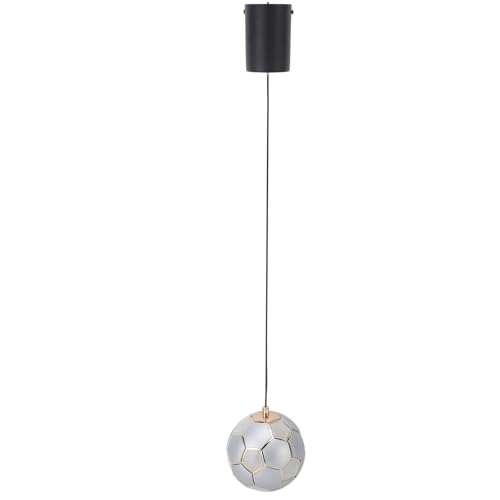 YWBL-WH Premium -Materialien LED LED Penente Leichte Fußboolen Lubril für Studien mit Hohem Licht 100-265 V (SILVER) von YWBL-WH