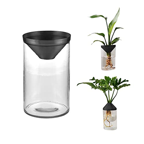 Avocado Baum Blumenvase, Avocado Samen Starter Pflanzgefäß Vase Topf, Glas Avocado Baum Growing Kit, Samen Hydrokulturvase, Glas Anzuchtstation von YWNYT