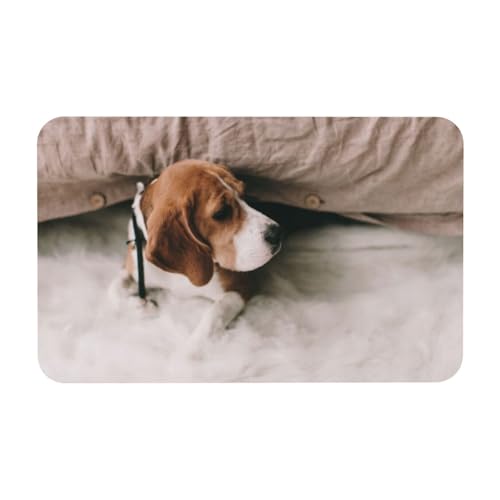 YWSOTRE Beagle-Bett,Bodenmatte Kieselgurmatte saugfähig rutschfest Badvorleger 50x80cm von YWSOTRE