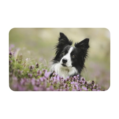 YWSOTRE Border Collie Rasen Schwarz Border Collie Haustiere,Bodenmatte Kieselgurmatte saugfähig rutschfest Badvorleger 50x80cm von YWSOTRE