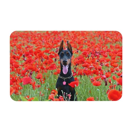 YWSOTRE Dobermann Pinscher in der Blume,Bodenmatte Kieselgurmatte saugfähig rutschfest Badvorleger 50x80cm von YWSOTRE