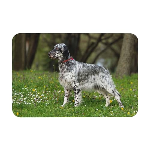 YWSOTRE English Setter Rasen Haustiere Hunde English Setter,Bodenmatte Kieselgurmatte saugfähig rutschfest Badvorleger 40X60cm YWSOTRE English Setter Rasen Haustiere Hunde English Setter,Bodenmatte Kieselgurmatte saugfähig rutschfest Badvorleger 40X60cm von YWSOTRE