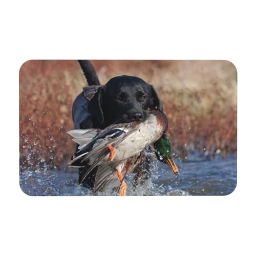 YWSOTRE Entenjagd Labrador Hund Cool Schwarz Welpe Tier,Bodenmatte Kieselgurmatte saugfähig rutschfest Badvorleger 50x80cm von YWSOTRE