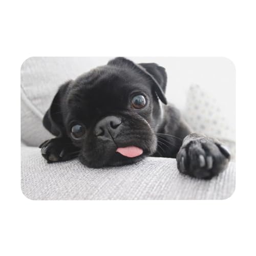 YWSOTRE Lustiger Mops Schwarz,Bodenmatte Kieselgurmatte saugfähig rutschfest Badvorleger 40X60cm von YWSOTRE