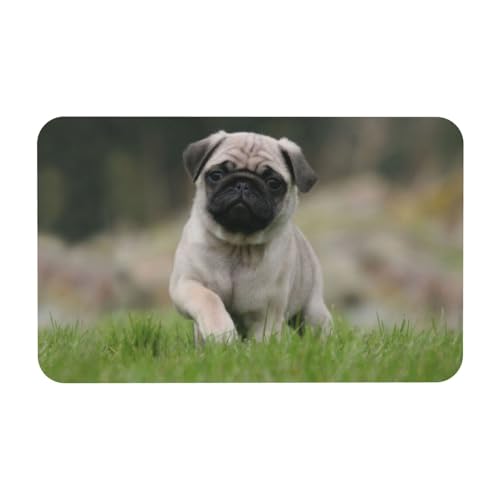 YWSOTRE Mops Bokeh Welpen Hunde Rasen Haustiere Mops,Bodenmatte Kieselgurmatte saugfähig rutschfest Badvorleger 50x80cm von YWSOTRE