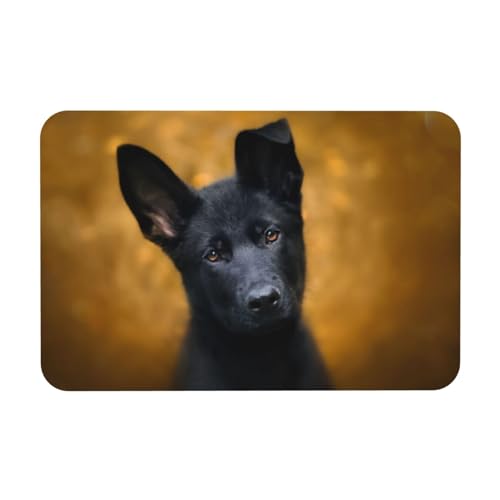 YWSOTRE Schwarzer Deutscher Schäferhund Bedruckt,Bodenmatte Kieselgurmatte saugfähig rutschfest Badvorleger 40X60cm von YWSOTRE