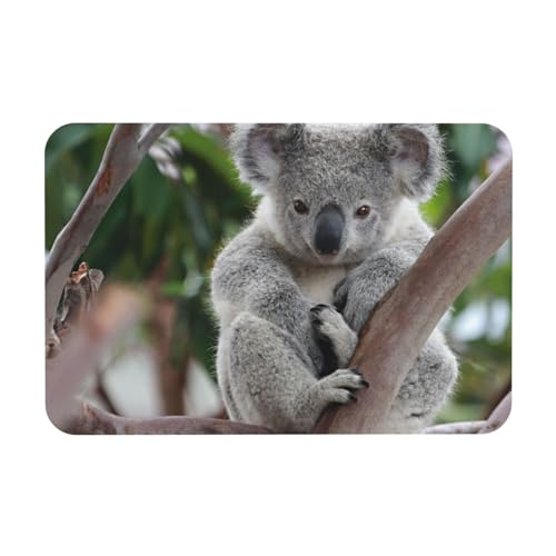 YWSOTRE Süßer Koala,Bodenmatte Kieselgurmatte saugfähig rutschfest Badvorleger 40X60cm von YWSOTRE