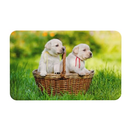 YWSOTRE Zwei Hunde in einem Korb gedruckt,Bodenmatte Kieselgurmatte saugfähig rutschfest Badvorleger 50x80cm von YWSOTRE