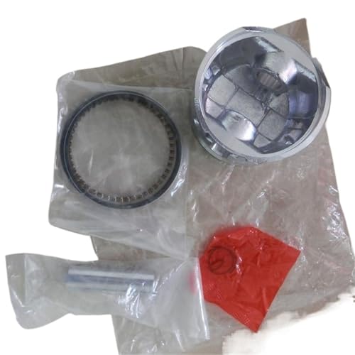 YXIUEYINGE 60 mm Kolbenringbolzen passend for Ro-Bin for Sub-aru EH12 EH12-2 EH12-2D EH12-2B 4.0HP for MIK-ASA MT-75 WT72FW WT84FW Werkzeugteile von YXIUEYINGE
