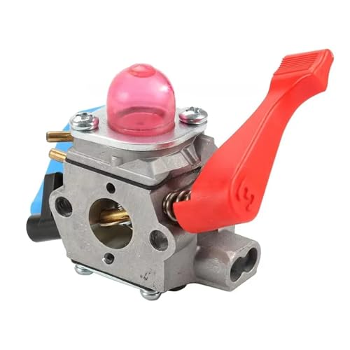 YXIUEYINGE Vergaser for C1Q-W11G 530071775 B1750 B1750LE BV200LE for WT-606 WT-784 C1Q-W11 von YXIUEYINGE