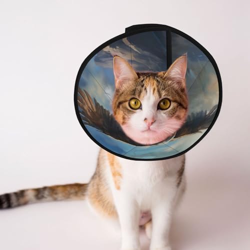Flying Eagle Hundekegelhalsband – Schutzhalsband für Hunde und Katzen, bequemes Haustier-Genesungshalsband für große und mittelgroße Welpen von YXLymxDAMAI