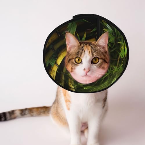 Hundehalsband aus Bambus, Schutzhalsband für Hunde und Katzen, bequemes Haustier-Genesungshalsband für große und mittelgroße Welpen von YXLymxDAMAI