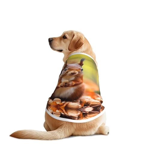 Squiries Hundekleidung auf der Suche nach Futter – atmungsaktives, weiches Hundekostüm, modische und bequeme T-Shirts für mittelgroße und große Hunde von YXLymxDAMAI