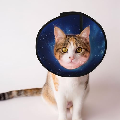 Stars Hundekegelhalsband – Schutzhalsband für Hunde und Katzen, bequemes Haustier-Genesungshalsband für große und mittelgroße Welpen von YXLymxDAMAI