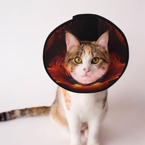 fire Phoenix Hundekegelhalsband – Schutzhalsband für Hunde und Katzen, bequemes Haustier-Genesungshalsband für große und mittelgroße Welpen von YXLymxDAMAI