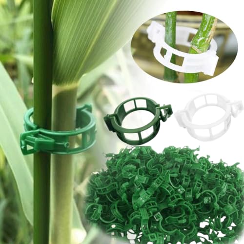 Secured Plastic Plant Clip,300 PCS Plant Clips for Climbing Plants Clear Plant Clips,Garden Clips Plant Support Clips Plant Clips Plant Support Garden Clips Vine Fixing Clip for Plants (green) von YXRRVING