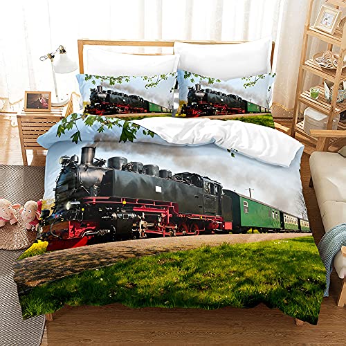 YXWHY 3D-Digitaldruck Dampflokomotive Train Bettbezug für Junge,weicher und bequemer Mikrofaser Oldtimer-Zug Lokomotive Bettwäsche Set 135x200cm und 2 Kissenbezug 80x80cm von YXWHY