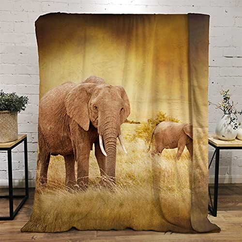 YXWHY Tier Elefant kuscheldecke flauschig für Bett Sofa,3D gedruckte Elefant Wohndecke,sofadecke Mikrofaser Kinder,Blanket Camping,Dicke Decke bräunlich gelb Flanelldecke 150x200cm von YXWHY