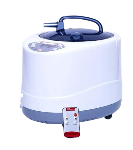 Dampferzeuger, 2000 W, Upgrade-Kapazität, 4 l Dampftopf for Sauna, Holzfässer, großer Wasserdampf Mehrere Anwendungsszenarien von YXZKJZJ