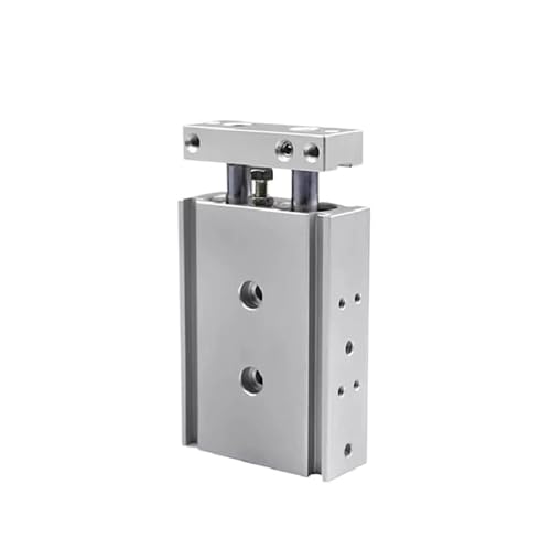 Doppelstab-Pneumatikzylinder, 10 bis 32 mm Bohrung, Doppelachsen-Luftzylinder mit 10 mm - 250 mm Hub für Industriemaschinen(Stroke 100mm,10) von YXZKJZJ