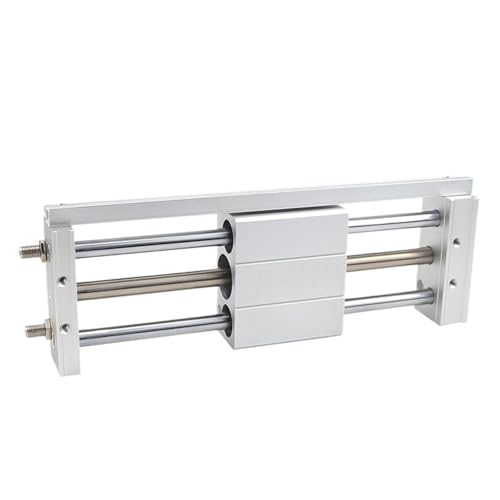 Kolbenstangenloser Zylinder aus Edelstahl RMTL40x100/200/300/500/600/700/1000 Doppeltwirkend Pneumatischer Luftzylinder 40MM Bohrung für Industriemaschinen(RMTL40x300) von YXZKJZJ