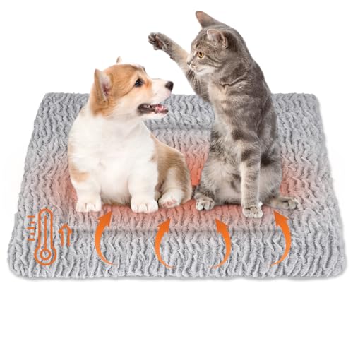 YYAQZD Katzendecke Selbstheizende Decke für Katzen & Hunde,Wärmedecke Katze Selbstwärmende Decke Ohne Strom Flauschig und Weich Katzenbett Waschbar 80 x 60 cm von YYAQZD