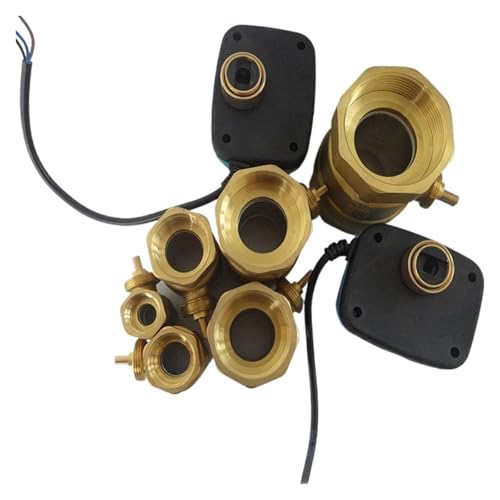 YYAZXSIQ Elektrischer Stellantrieb, 220 V, 110 V, 24 V, 12 V, elektrischer Stellantrieb, motorisierter Messing-Kugelhahn, 2-Wege-3-Draht-2-Steuerventil kann Magnetventil ersetzen (Stellantrieb, DC 24 YYAZXSIQ Elektrischer Stellantrieb, 220 V, 110 V, 24 V, 12 V, elektrischer Stellantrieb, motorisierter Messing-Kugelhahn, 2-Wege-3-Draht-2-Steuerventil kann Magnetventil ersetzen (Stellantrieb, DC 24 von YYAZXSIQ