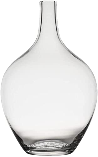YYDSA Glas Ballonvase für Dekor,Transparente Glasvase für Modernes Wohnkultur,Indoor Dekoration,Gro? (nur Vase) von YYDSA
