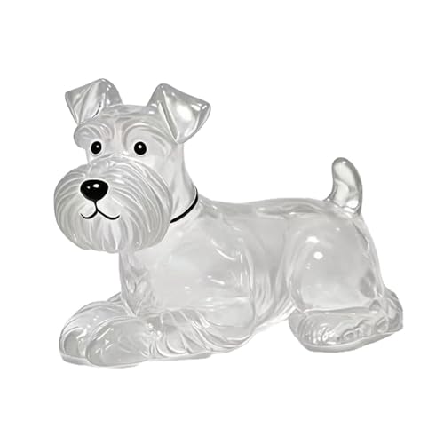 YYDSWTW Hundehaarschlüsselhain Pet Memorial Storage Box Hanging Charm 1 Pack tragbarer Form transparenter Behälter für Eigentümer Souvenir F von YYDSWTW
